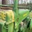 john-deere-a-image-17