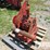 massey-ferguson-8-image-1