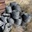 #1025-•-barb/barbless-rolls-of-wire-image-2