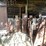 #1051-•-metal-of-various-shapes-and-sizes-image-7