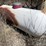 #1060-•-propane-tank-image-7