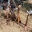 #1071-•-pipe-stands-image-2