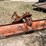 #1007-•-brush-hook-back-blade-image-5