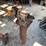 #1088-•-allied-multi-purpose-bench-vise-image-1