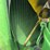 john-deere-a-image-27
