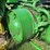 john-deere-gp-image-25