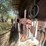 #1051-•-metal-of-various-shapes-and-sizes-image-9