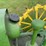 john-deere-a-image-38
