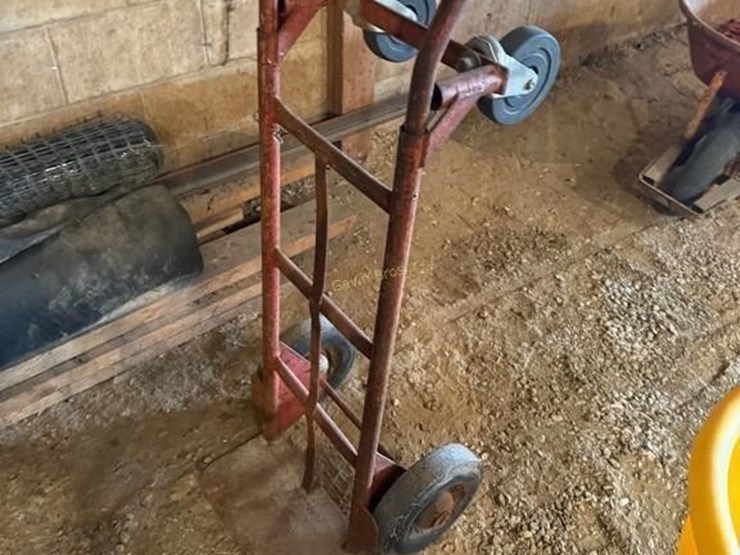 dolly-image-2