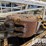 caterpillar-c9-image-7