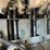 #1009-•-diesel-3-phase-generator-image-13