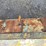 #1092-•-metal-work-bench-image-6
