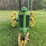 john-deere-a-image-8