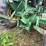 john-deere-2040-image-10