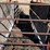 #1021-•-co-op-portable-cattle-loading-chute-image-3