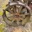 fordson-f-image-16