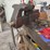 tools,-parts,-and-shop-related-items-image-18