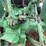 john-deere-2040-image-11