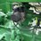 john-deere-ao-image-34