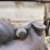 fordson-f-image-44