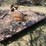 #1077-•-truck-flatbed-image-3