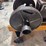 sattley-1-3/4hp-image-15