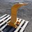 caterpillar-307-image-4