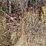 #1053-•-tubes-and-rebar-image-4