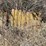 #1053-•-tubes-and-rebar-image-5
