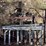 #1041-•-various-gate-panels-image-4