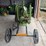 international-mogul-4hp-image-6