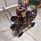 domestic-2hp-image-2