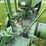 john-deere-a-image-47