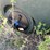 #1059-•-green-poly-5,000-gal-tank-image-7