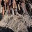 #1027-•-6'-t-posts-and-fence-staves-image-3