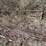 #1053-•-tubes-and-rebar-image-8