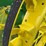 john-deere-a-image-15