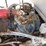(x)-(14-1)-2002-cameron-500-42x12-42x8-well-servic...-image-10