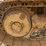 caterpillar-d4c-xl-image-10