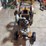 1912-rawleigh-1-1/2hp-image-8