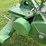 john-deere-a-image-43