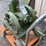 ihc-slant-hopper-mogul-jr.-1hp-image-7