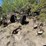 #1047-•-axles-and-heavy-duty-trailer-jack-image-1