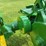 john-deere-a-image-39