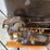 goold-shapley-3-1/2-hp-engine-image-11