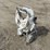 2016-paint-sprayer-impact-440-image-3