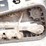 2007-bobcat-mt55-image-24