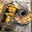 2016-skid-steer-auger-image-4