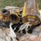 2016-skid-steer-auger-image-5