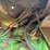 john-deere-4430-image-65